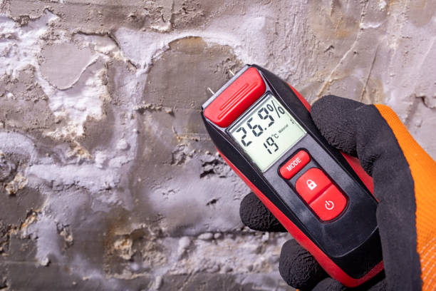 Best Mold Remediation for Specific Building Types in James City, NC