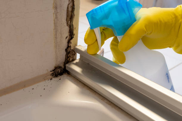 Best Industrial Mold Remediation in James City, NC