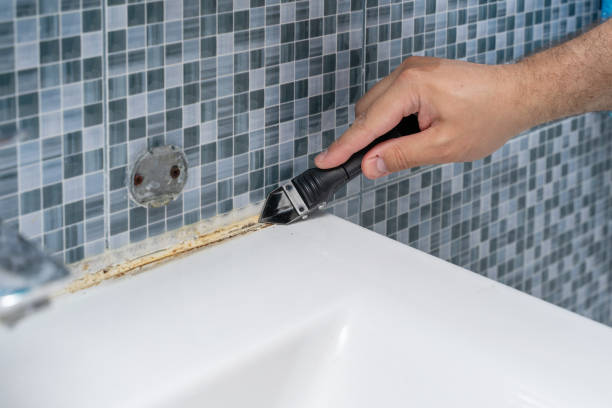Best Residential Mold Remediation in James City, NC