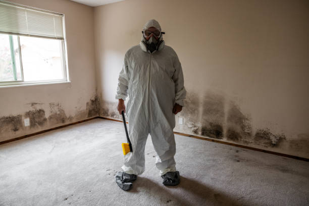 Best HVAC Mold Remediation in James City, NC